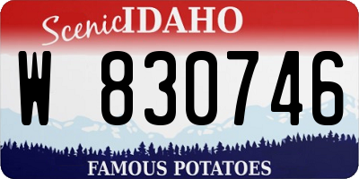 ID license plate W830746
