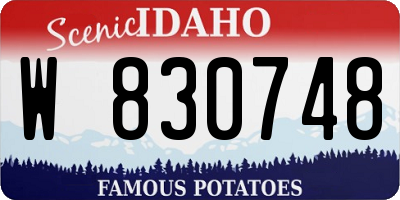 ID license plate W830748