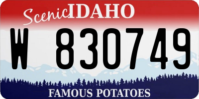 ID license plate W830749