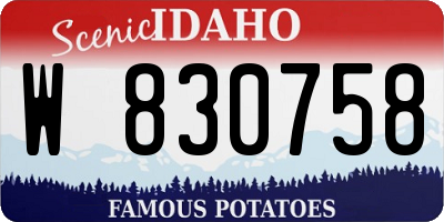 ID license plate W830758