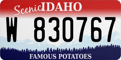 ID license plate W830767