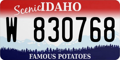 ID license plate W830768