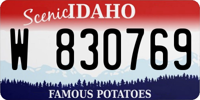 ID license plate W830769