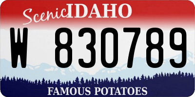 ID license plate W830789
