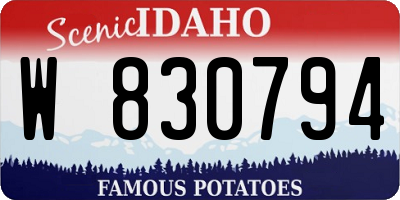 ID license plate W830794