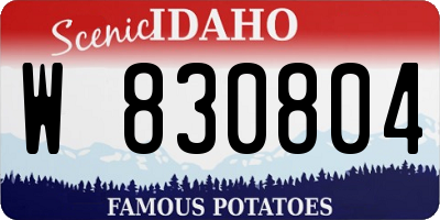 ID license plate W830804