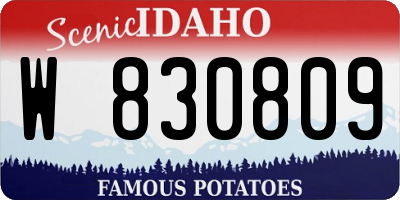 ID license plate W830809