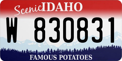ID license plate W830831