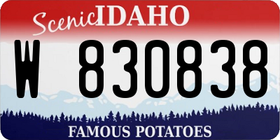 ID license plate W830838