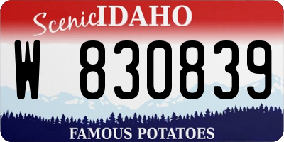 ID license plate W830839