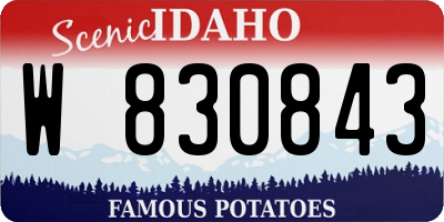 ID license plate W830843