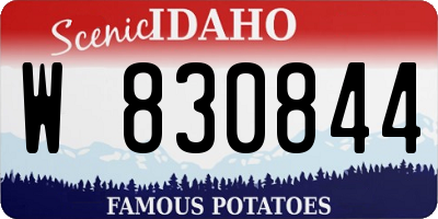 ID license plate W830844