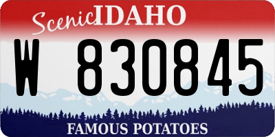 ID license plate W830845