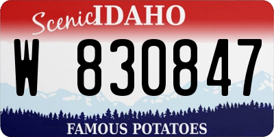 ID license plate W830847