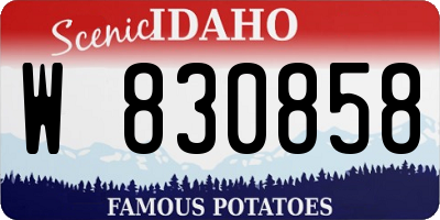 ID license plate W830858