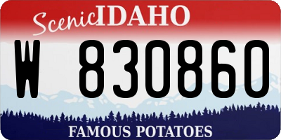 ID license plate W830860
