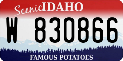 ID license plate W830866