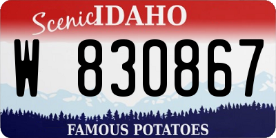 ID license plate W830867