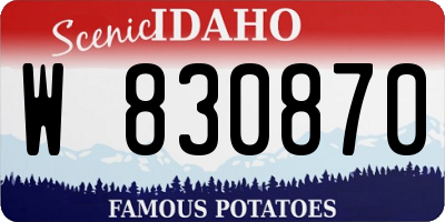 ID license plate W830870