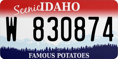 ID license plate W830874