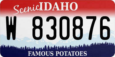 ID license plate W830876