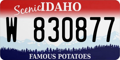 ID license plate W830877