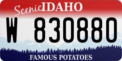 ID license plate W830880