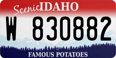 ID license plate W830882