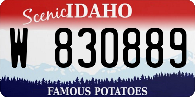 ID license plate W830889