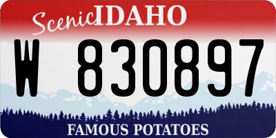 ID license plate W830897