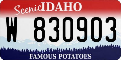 ID license plate W830903