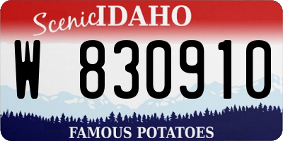 ID license plate W830910