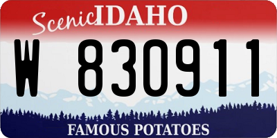 ID license plate W830911