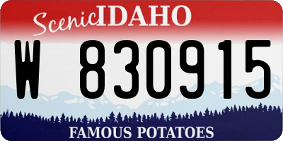 ID license plate W830915