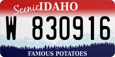 ID license plate W830916