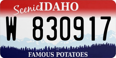 ID license plate W830917