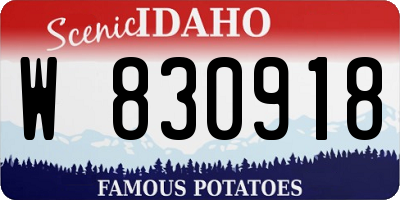 ID license plate W830918