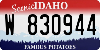 ID license plate W830944