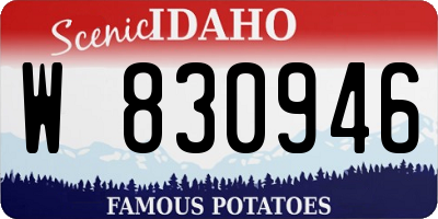 ID license plate W830946