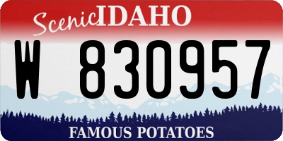 ID license plate W830957