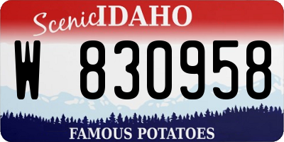 ID license plate W830958