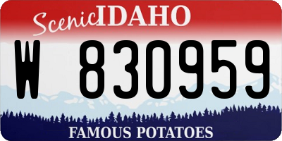 ID license plate W830959