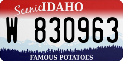 ID license plate W830963