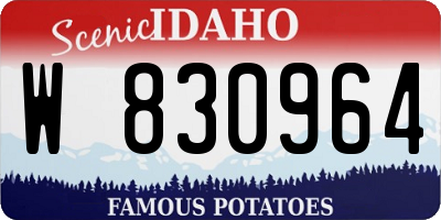 ID license plate W830964