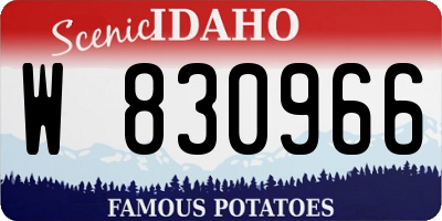ID license plate W830966