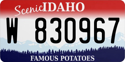 ID license plate W830967
