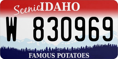 ID license plate W830969