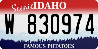 ID license plate W830974