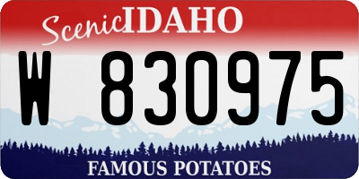 ID license plate W830975