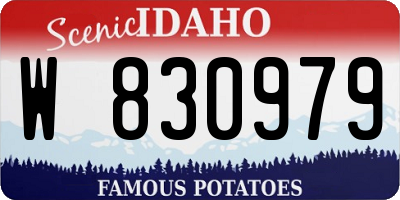 ID license plate W830979